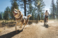 Ruffwear Swamp Cooler™ Cooling Neck Gaiter